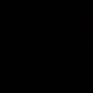 Meet your Posher, Talia